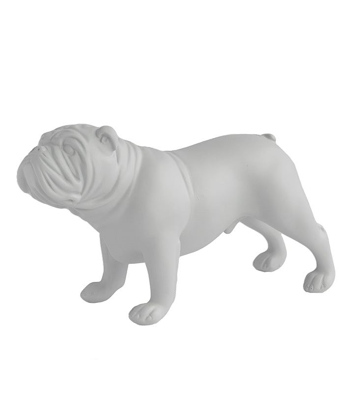 Bulldog - White