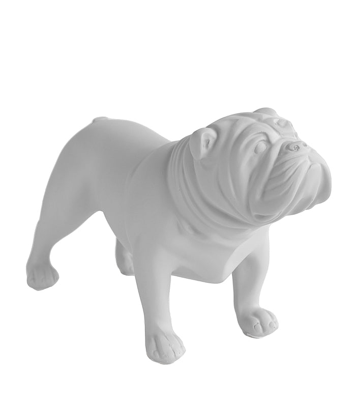 Bulldog - White