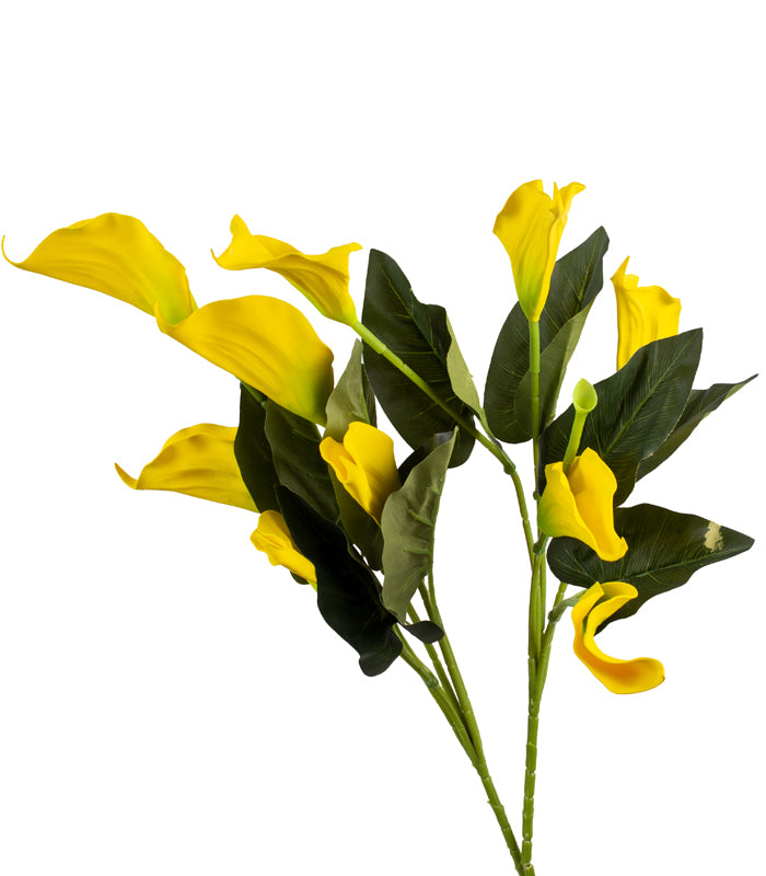 Callalily - Yellow - Set of 2
