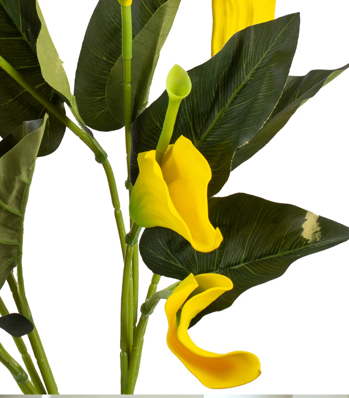 Callalily - Yellow - Set of 2