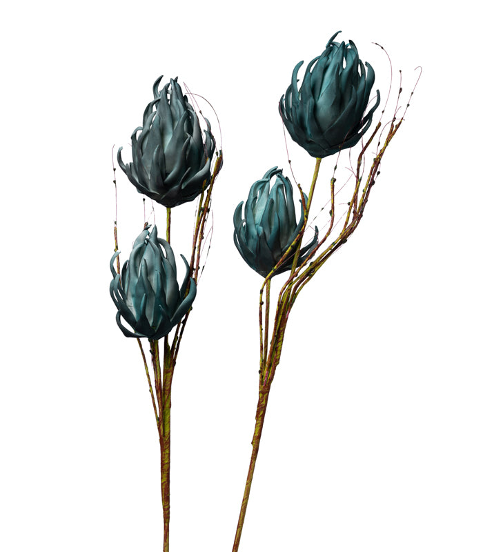 Calcifer the king protea Teal - Set of 2