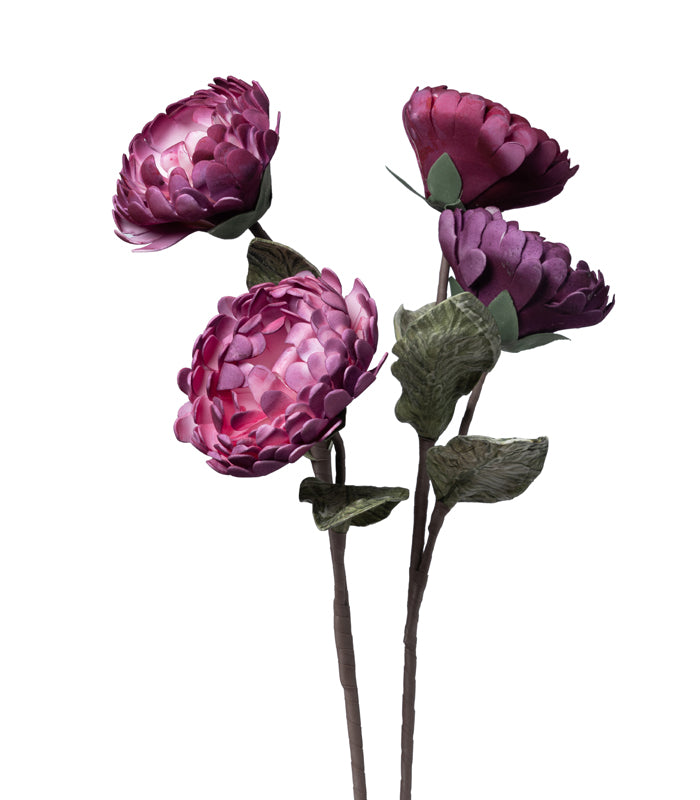 Chrysanthemum Purple - Set of 2