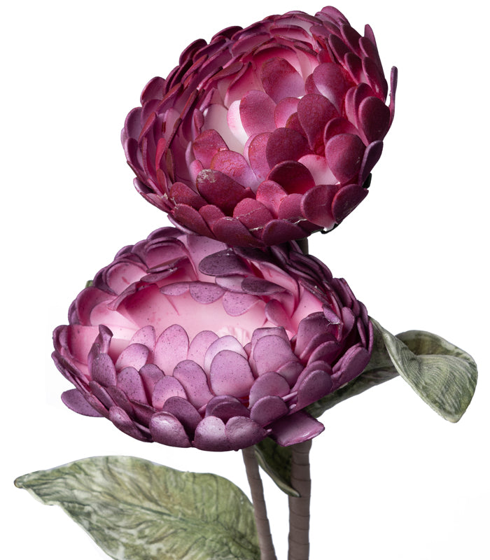 Chrysanthemum Purple - Set of 2