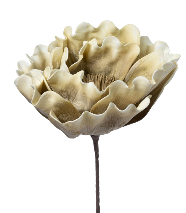 Coral Olive - Set of 2