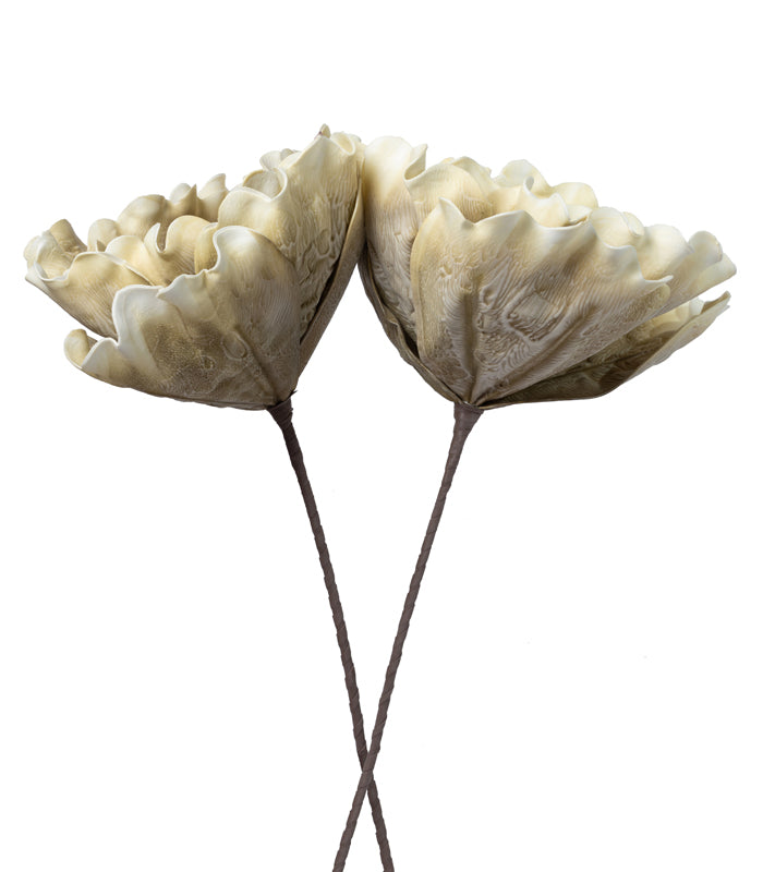 Coral Olive - Set of 2