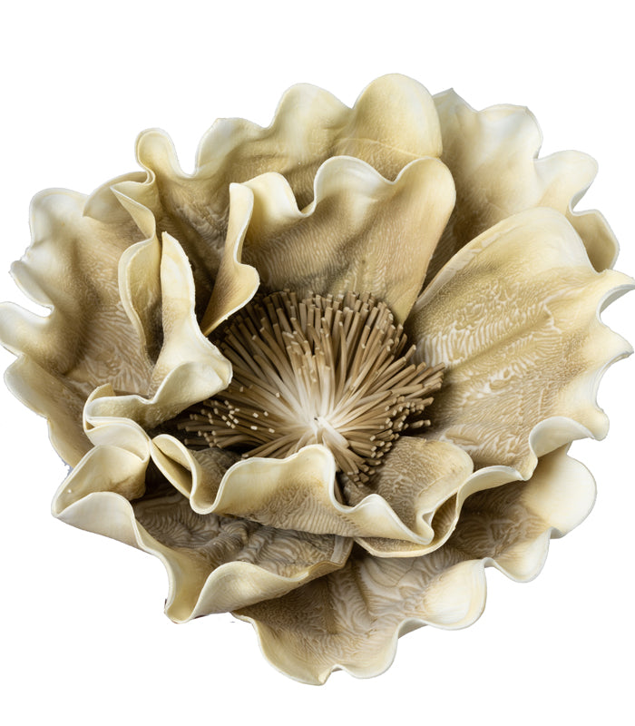 Coral Olive - Set of 2