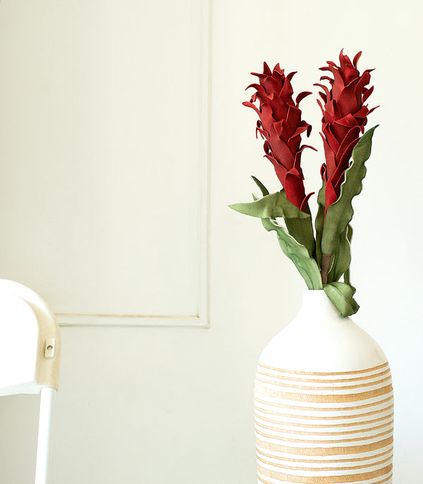 Corn Husk - Red - Set of 2
