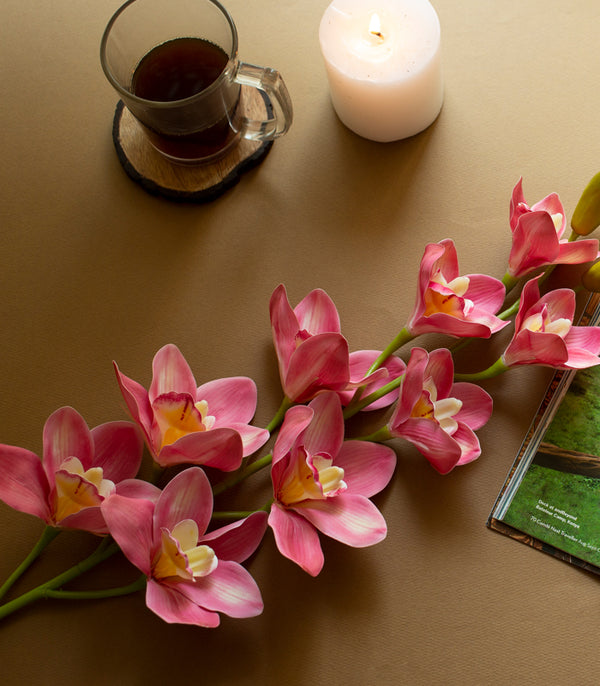 Cymbidium Orchid Dark Pink