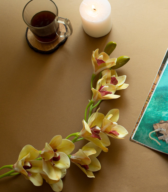 Cymbidium Orchid Light Yellow