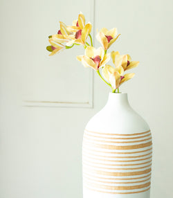 Cymbidium Orchid Light Yellow