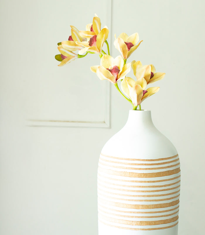 Cymbidium Orchid Light Yellow