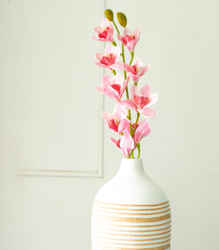 Cymbidium Orchid Pink