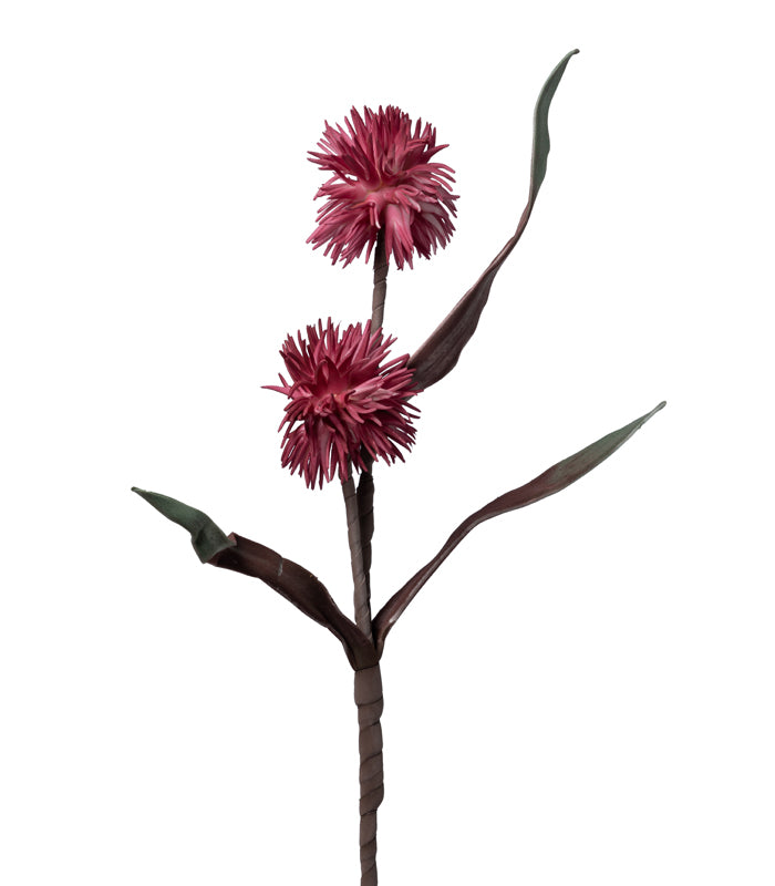 Dahlia Pink - Set of 2