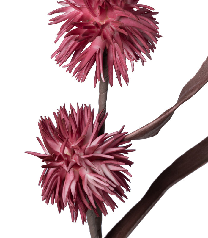 Dahlia Pink - Set of 2