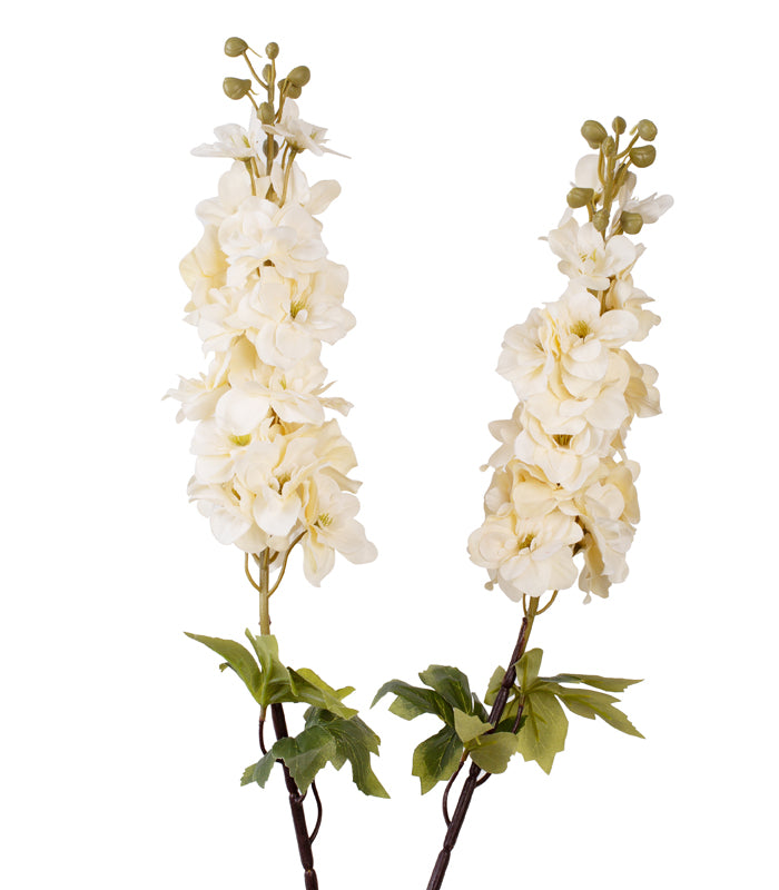 Delphinium- Ivory - Set of 2
