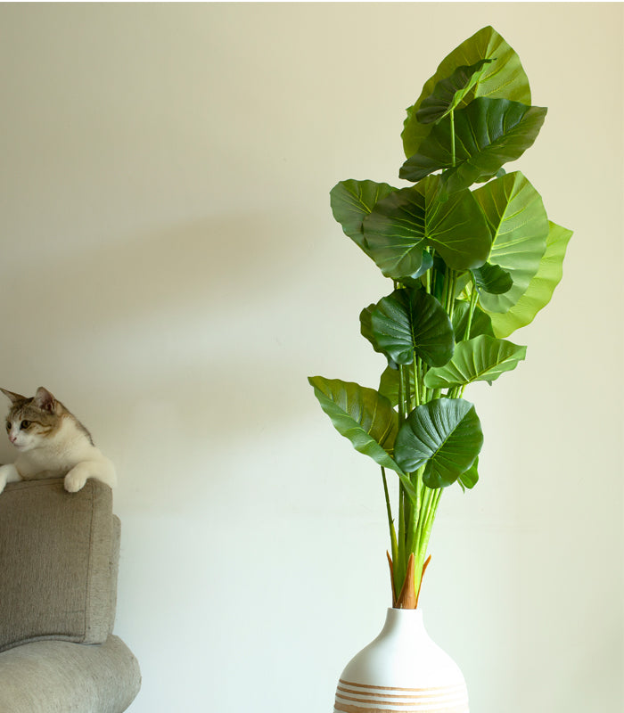 Giant Tarp Plant