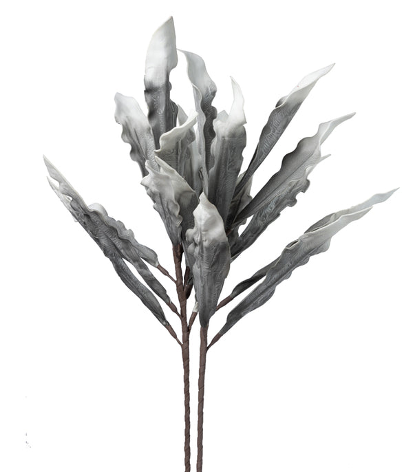 Gladiola leaf Grey - Set of 2