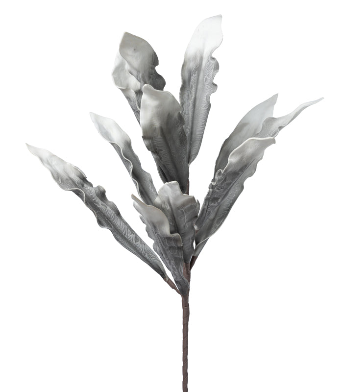 Gladiola leaf Grey - Set of 2