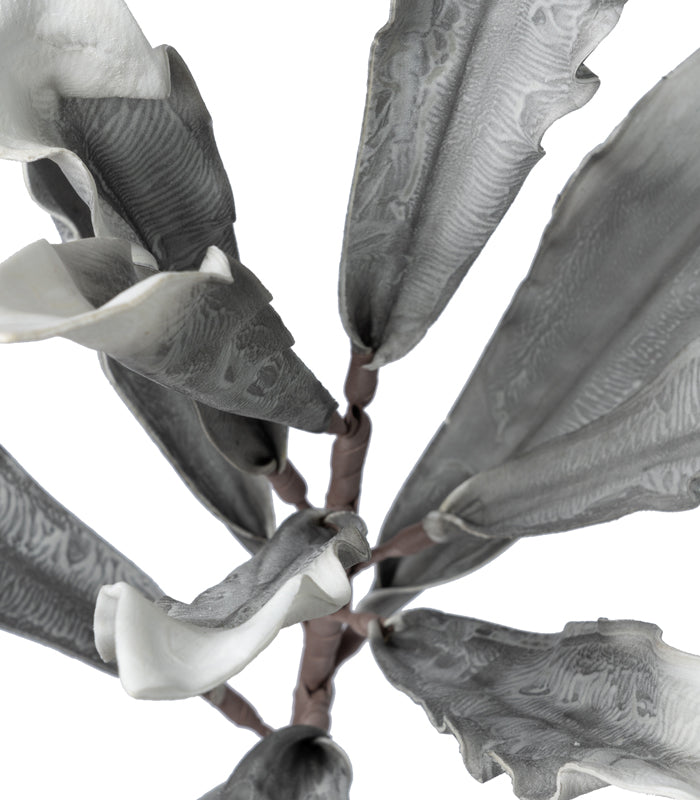 Gladiola leaf Grey - Set of 2