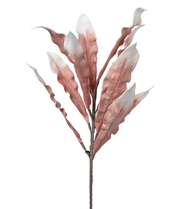 Gladiola leaf Pink - Set of 2