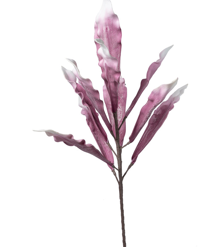 Gladiola leaf Purple - Set of 2