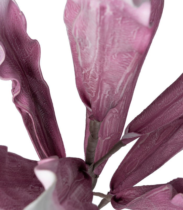Gladiola leaf Purple - Set of 2