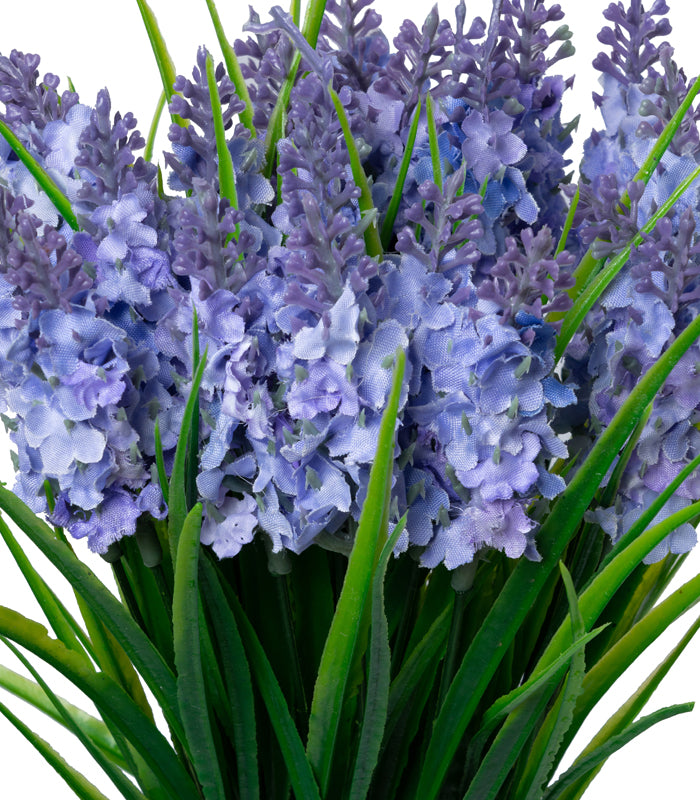 Hyacinth Lilac- Set of 2