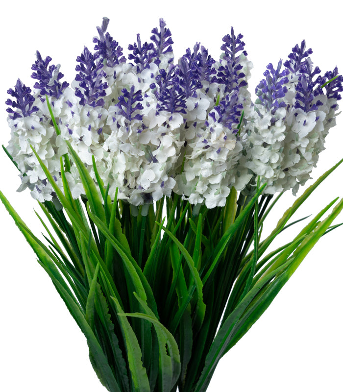 Hyacinth White - Set of 2