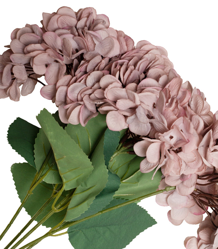Hydrangea - Dark Pink