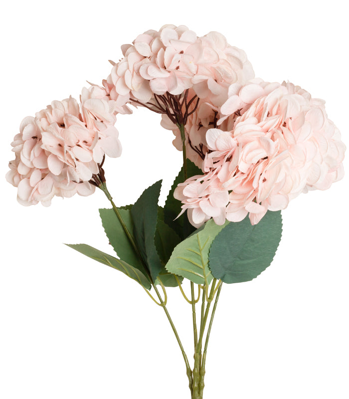 Hydrangea - Pink