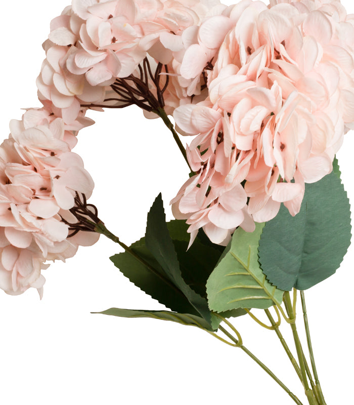 Hydrangea - Pink