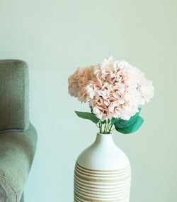 Hydrangea - Pink