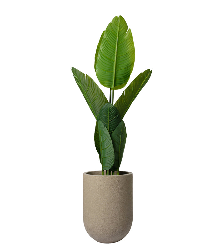 Juniper Beige 16 Planter