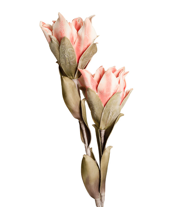 Long Stem Lotus - Dark Pink