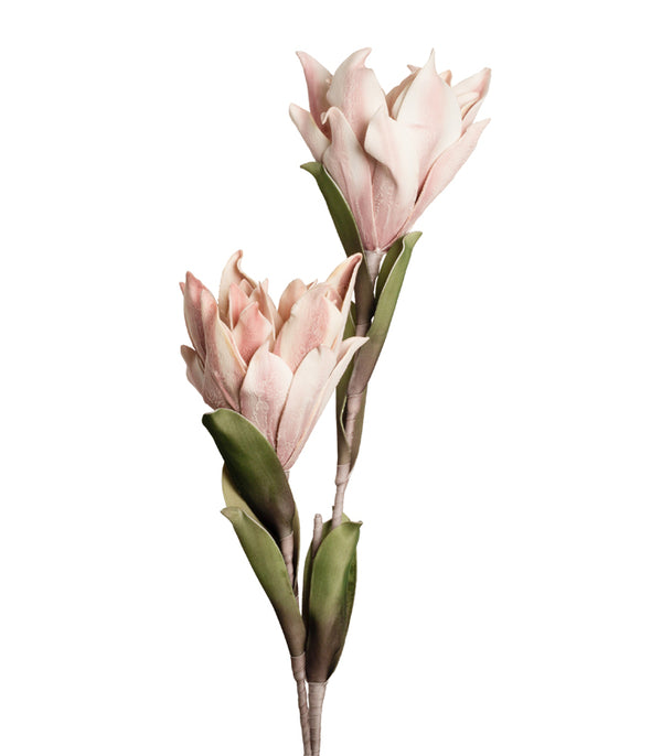 Long Stem Lotus - Pink