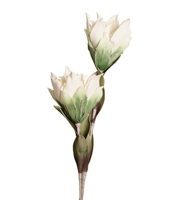Long Stem Lotus - White
