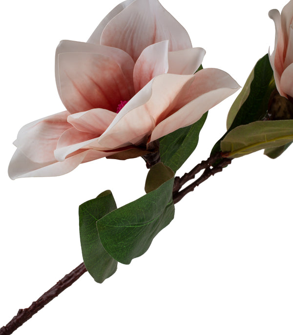 Magnolia Tri- Light Pink