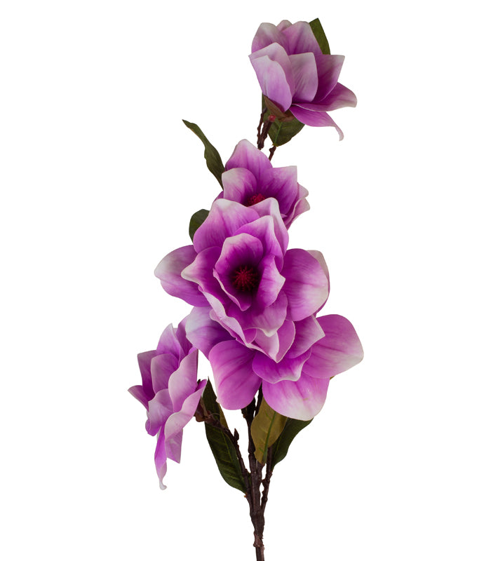Magnolia Purple