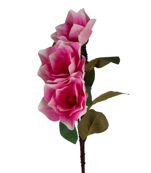 Magnolia Tri Pink