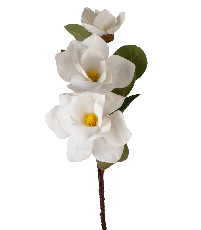 Magnolia Tri White