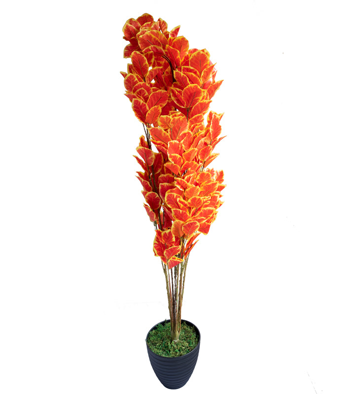 Oak Tree Orange