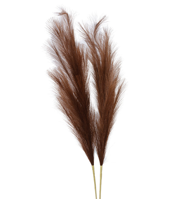 Pampas Brown - Set of 2