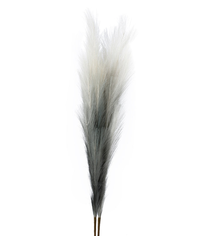 Pampas Grey - Set of 2
