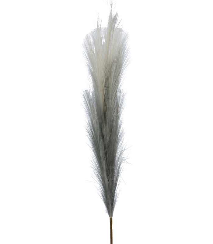 Pampas Grey - Set of 2