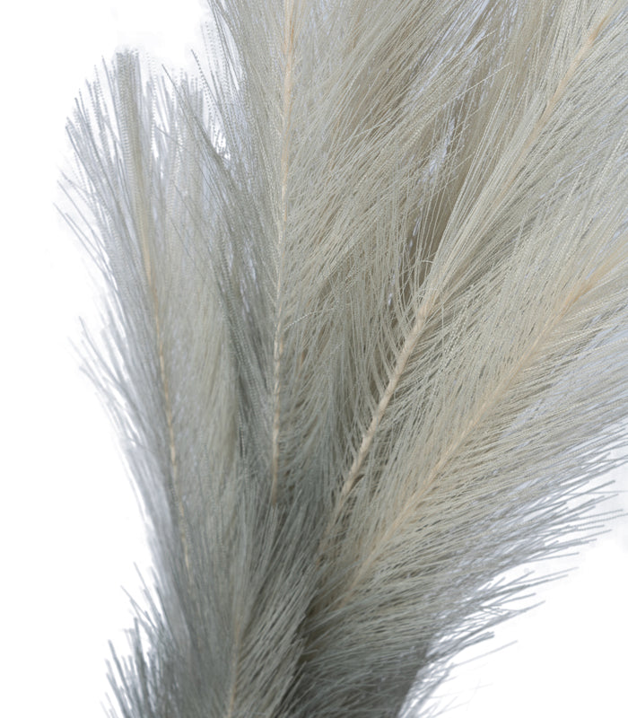 Pampas Grey - Set of 2