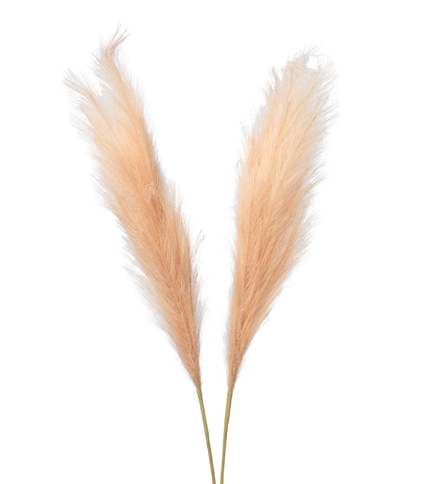 Pampas Peach - Set of 2