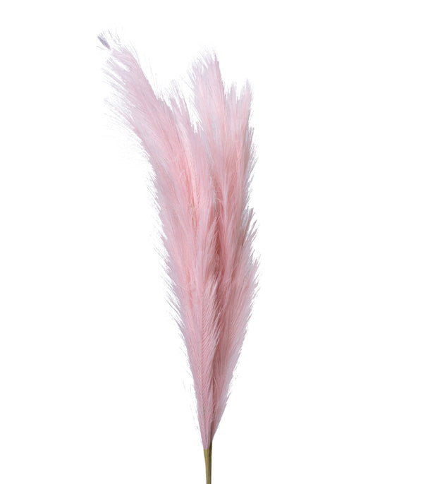 Pampas Pink - Set of 2