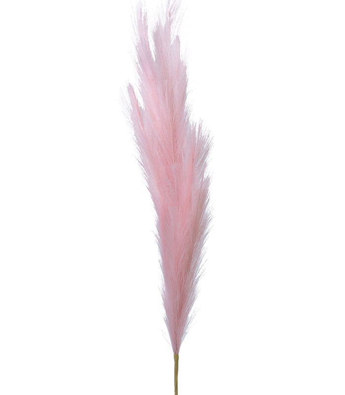 Pampas Pink - Set of 2