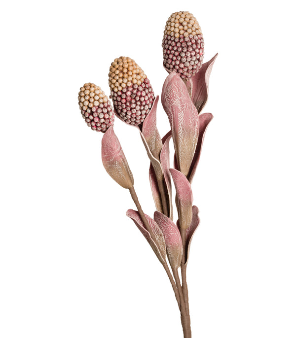 Corn Stalk - Pink