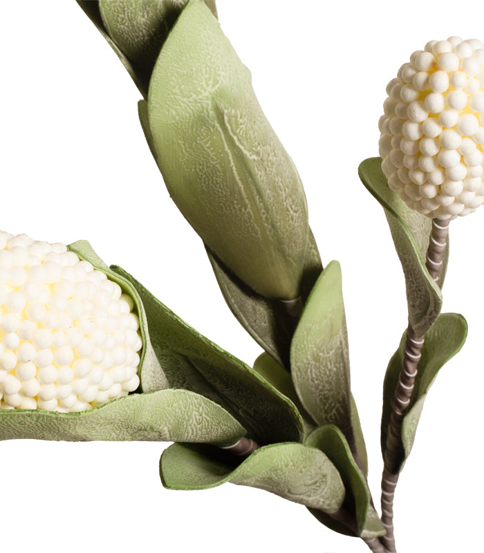 Corn Stalk - White
